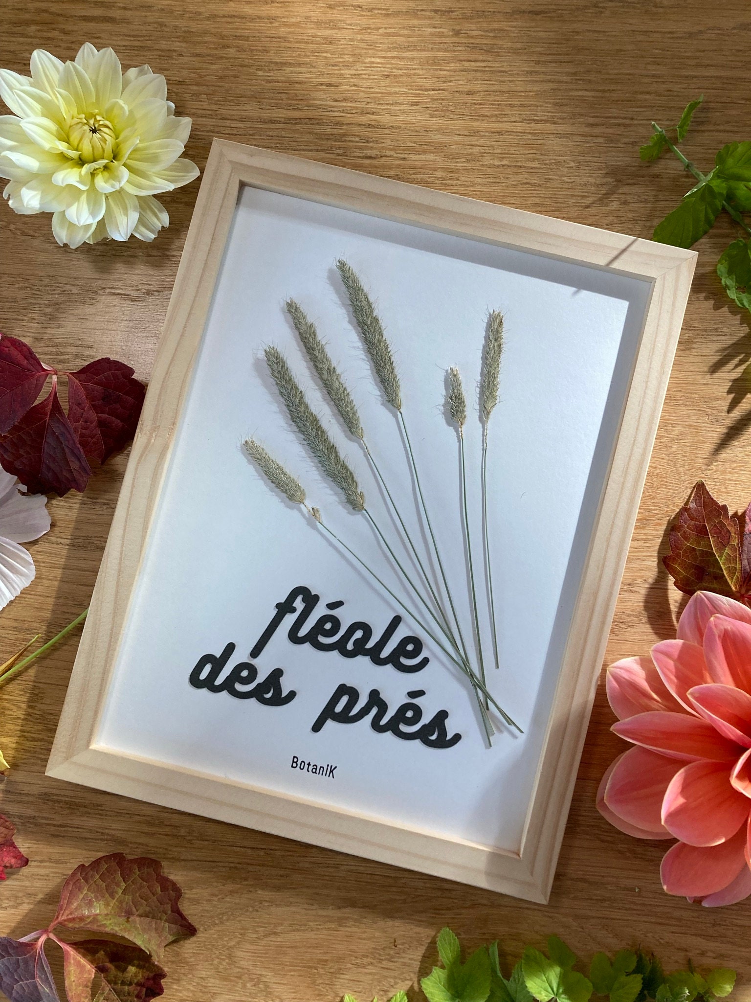 Herbier Botanique, Herbier Encadré de Fleurs et Feuilles Séchées, Créatrice Française, Botanik