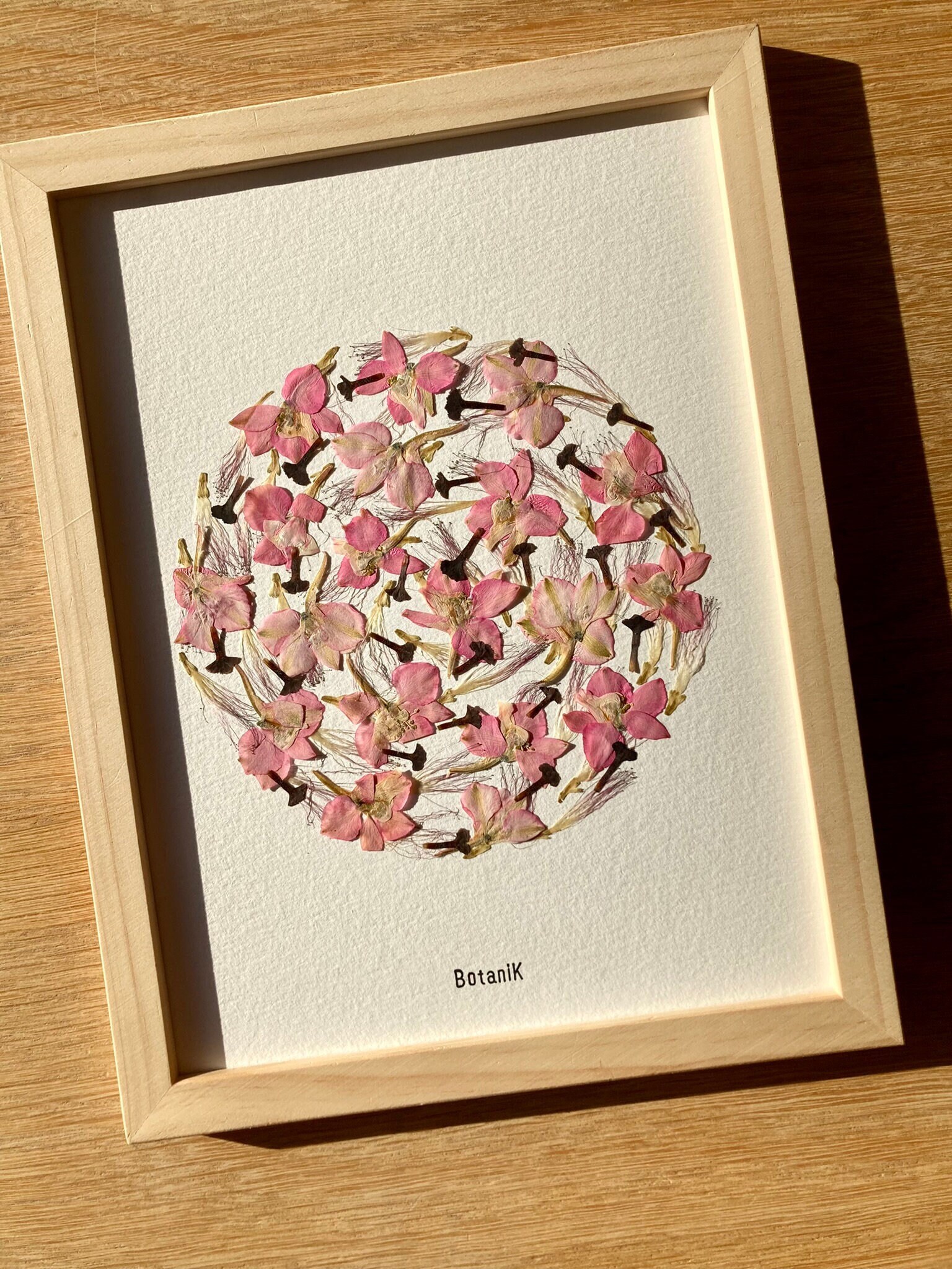 Herbier Tourbillon, Herbier Encadré de Fleurs Séchées Delphinium, Créatrice Française, Botanik