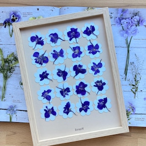 Erbario floreale, erbario incorniciato con fiori e foglie secchi, designer francese, fattoria dei fiori BotaniK, agricoltura biologica