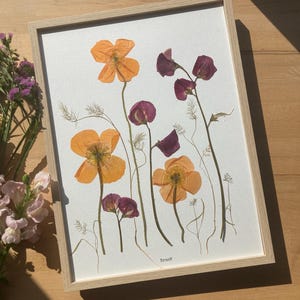 BotaniK Herbarium, ingelijst herbarium van gedroogde bloemen en bladeren, Franse ontwerper, 30x40 cm, BotaniK bloemenkwekerij, biologische landbouw
