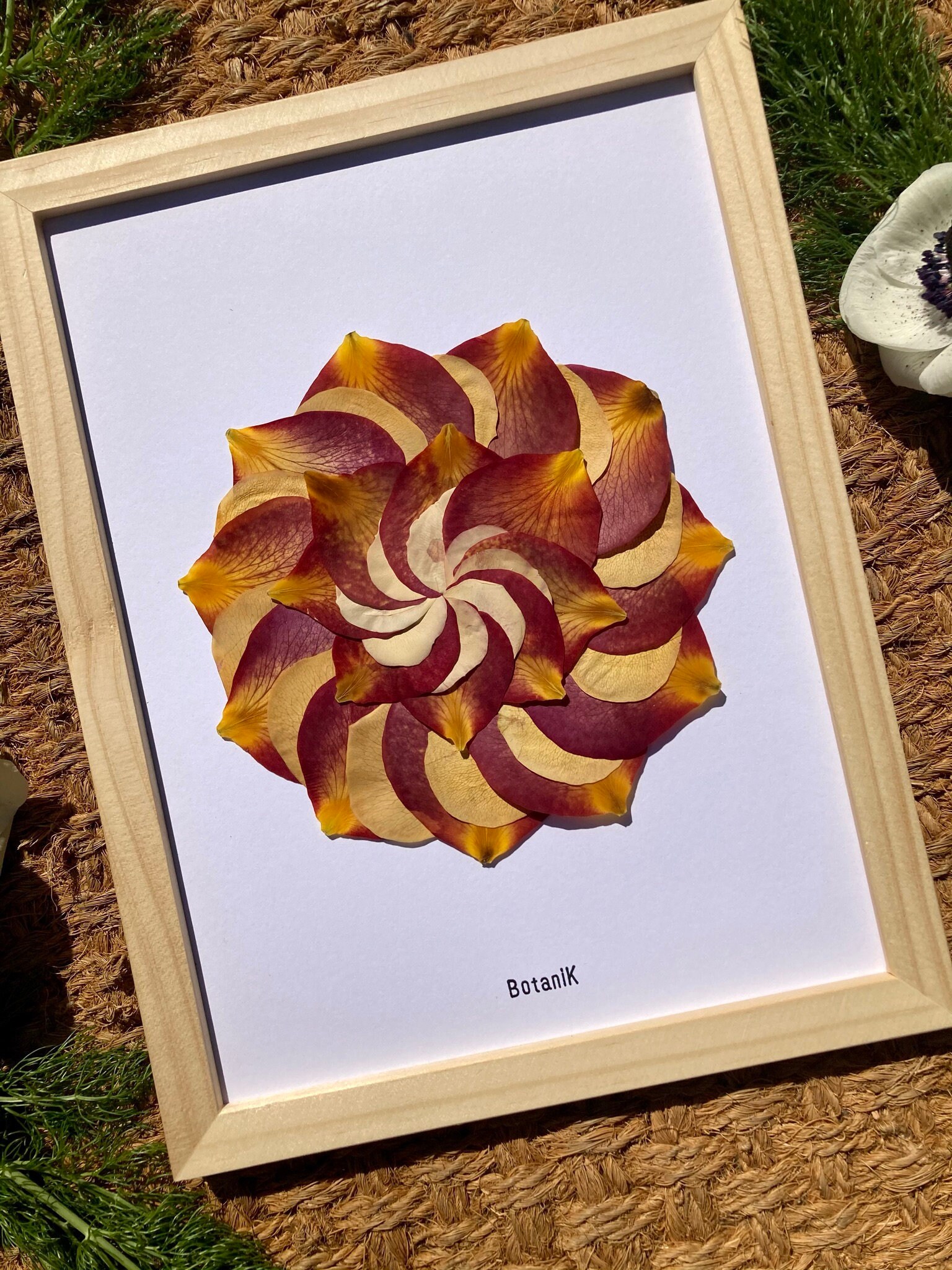 Herbier Glamélia, Herbier Encadré de Fleurs Séchées, Créatrice Française, Botanik