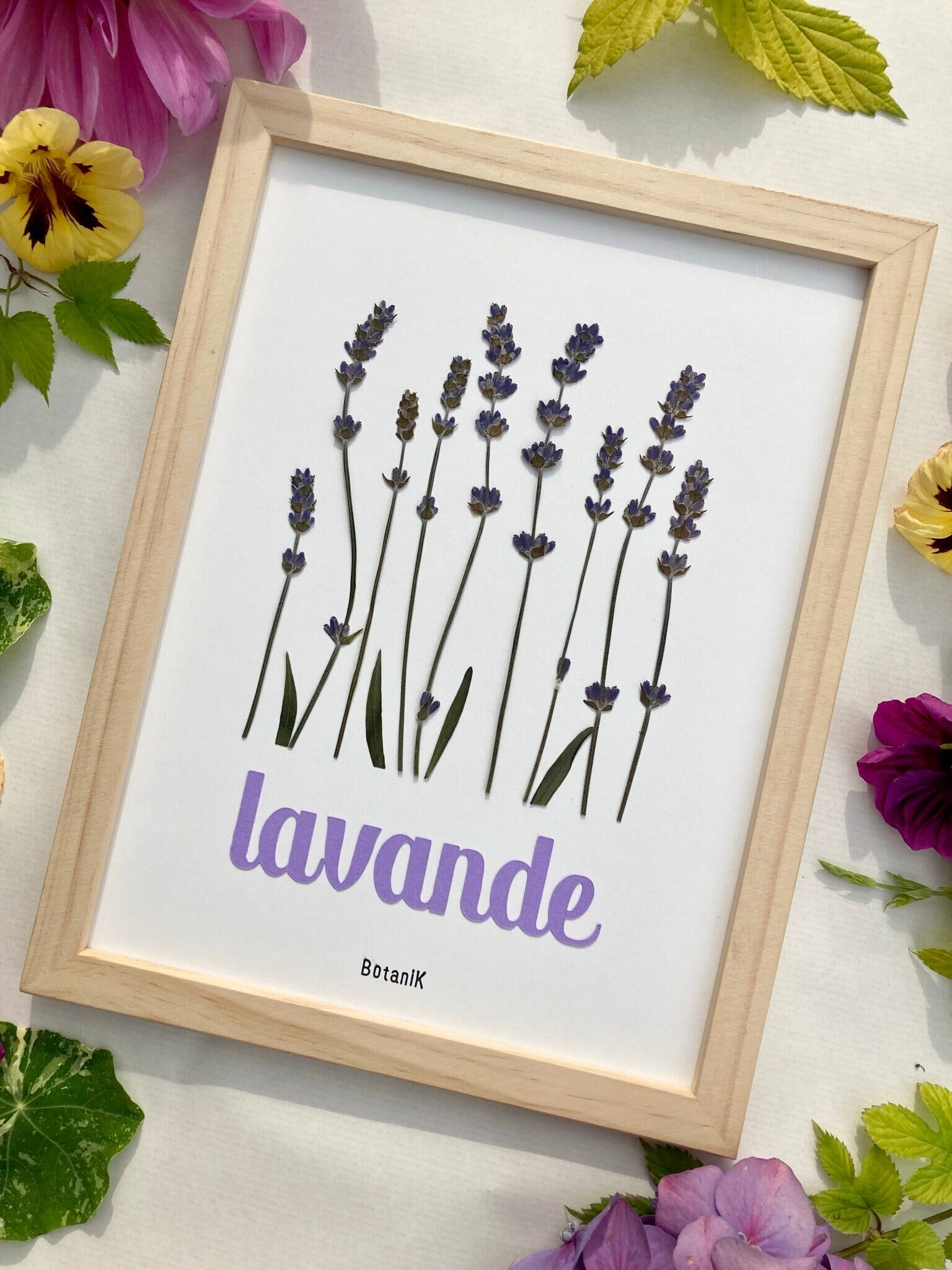 Herbier Botanique de Lavande, Herbier Encadré Fleurs et Feuilles Séchées, Créatrice Française, Botan