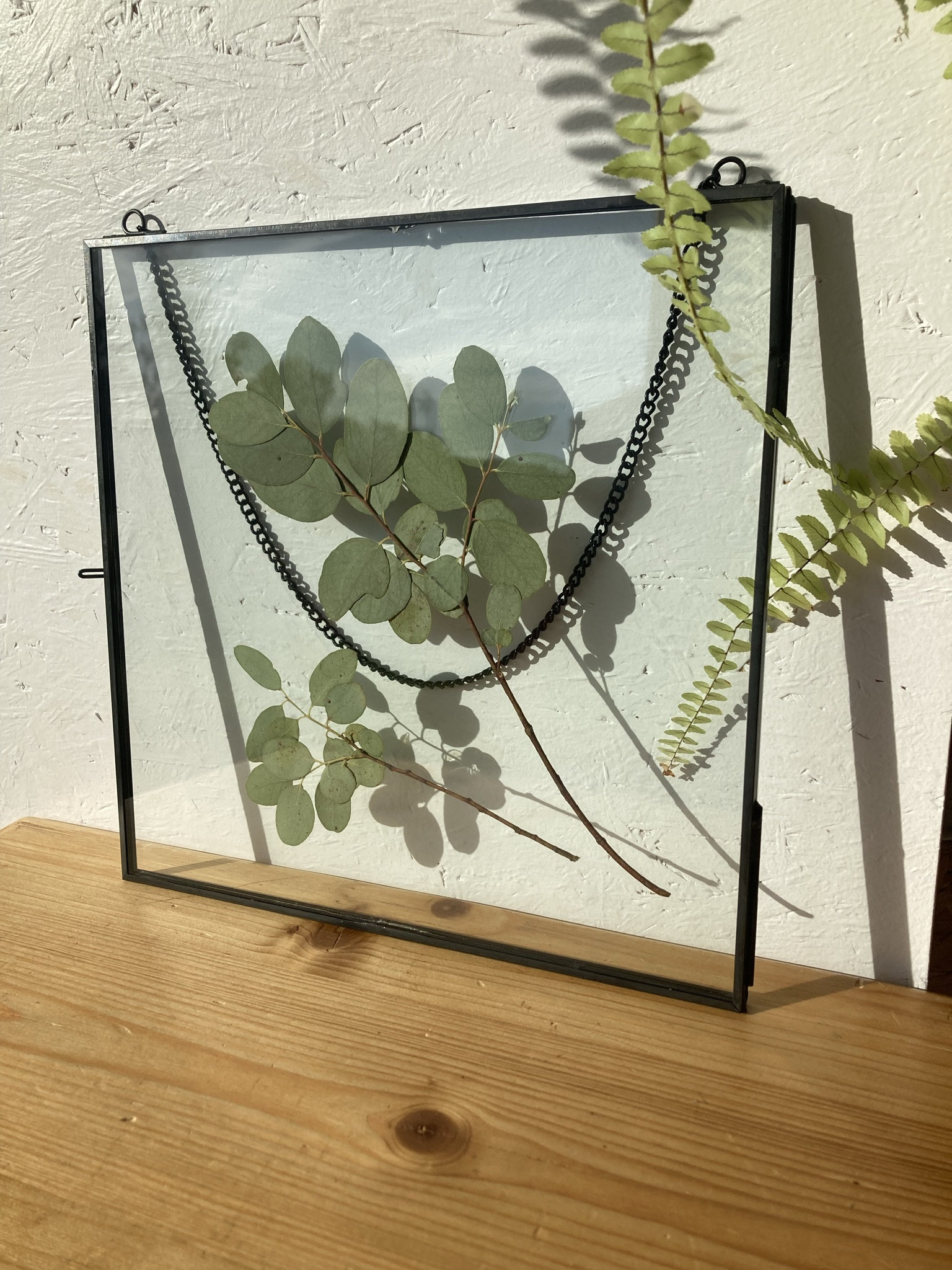 Herbier Eucalyptus, Herbier Encadré de Fleurs et Feuilles Séchées, Créatrice Française, Botanik