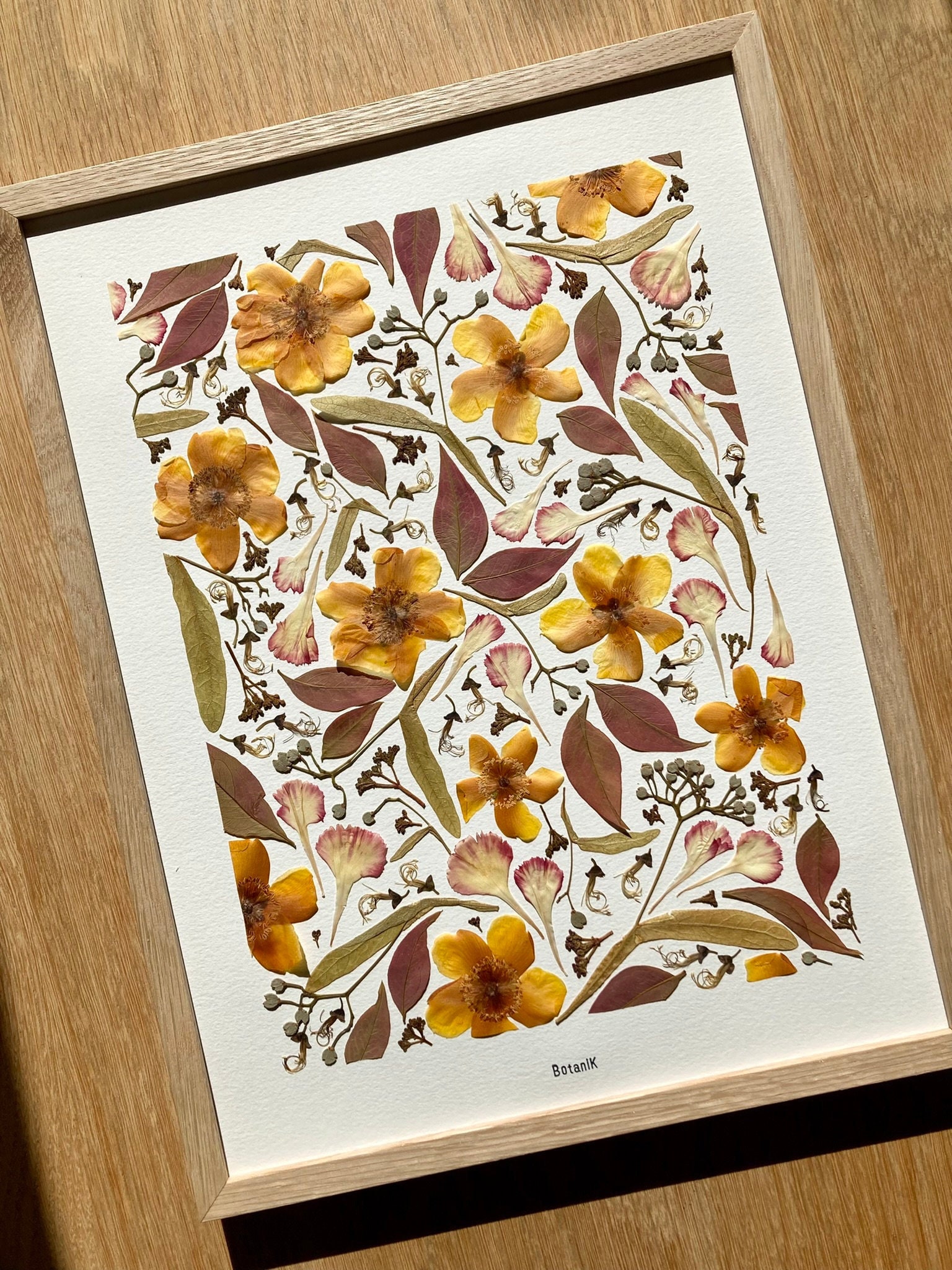 Herbier Couleur d'automne, Herbier Encadré de Fleurs et Feuilles Séchées Oeillet, Millepertuis, Créa