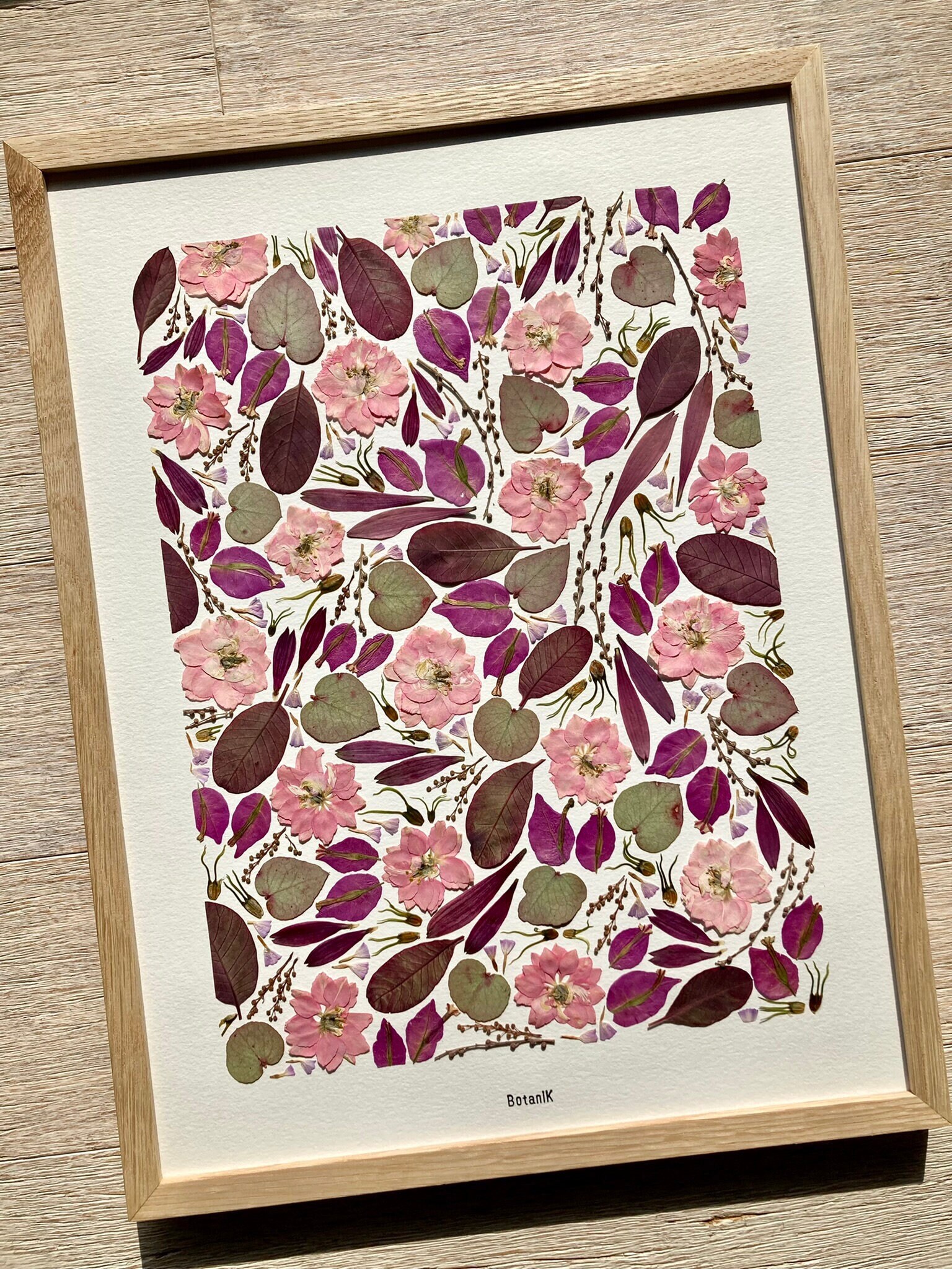 Herbier Douceur, Herbier Encadré de Fleurs et Feuilles Séchées Bougainvillier, Delphinium, Eucalyptu