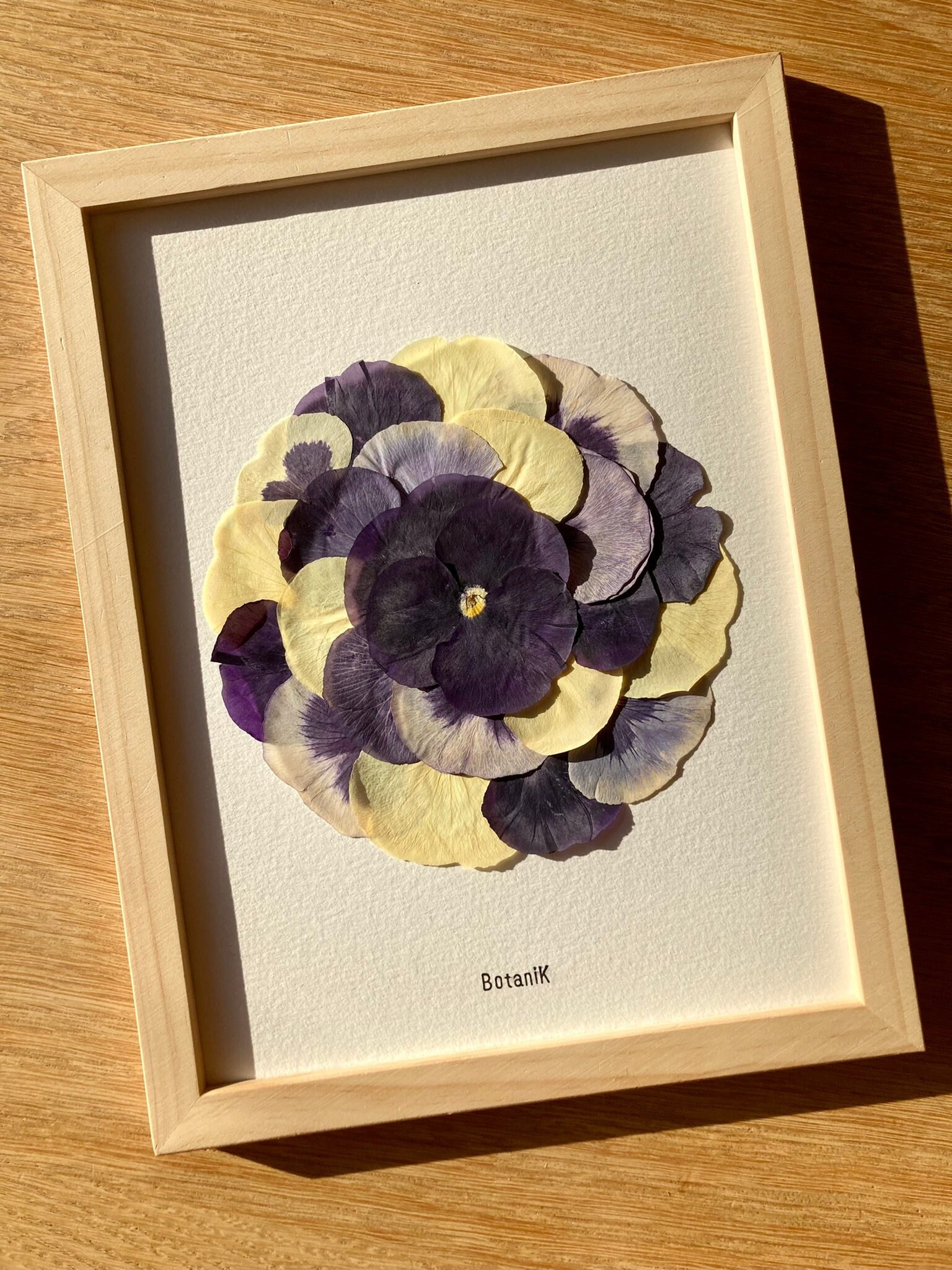 Herbier Extraordinaire Pensée, Herbier Encadré de Fleurs Séchées, Créatrice Française, Botanik