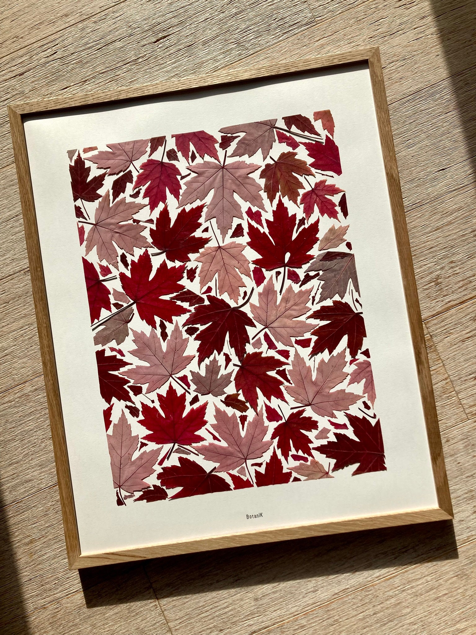 Herbier Feuille d'automne, Herbier Encadré de Feuilles Séchées, Créatrice Française, Botanik