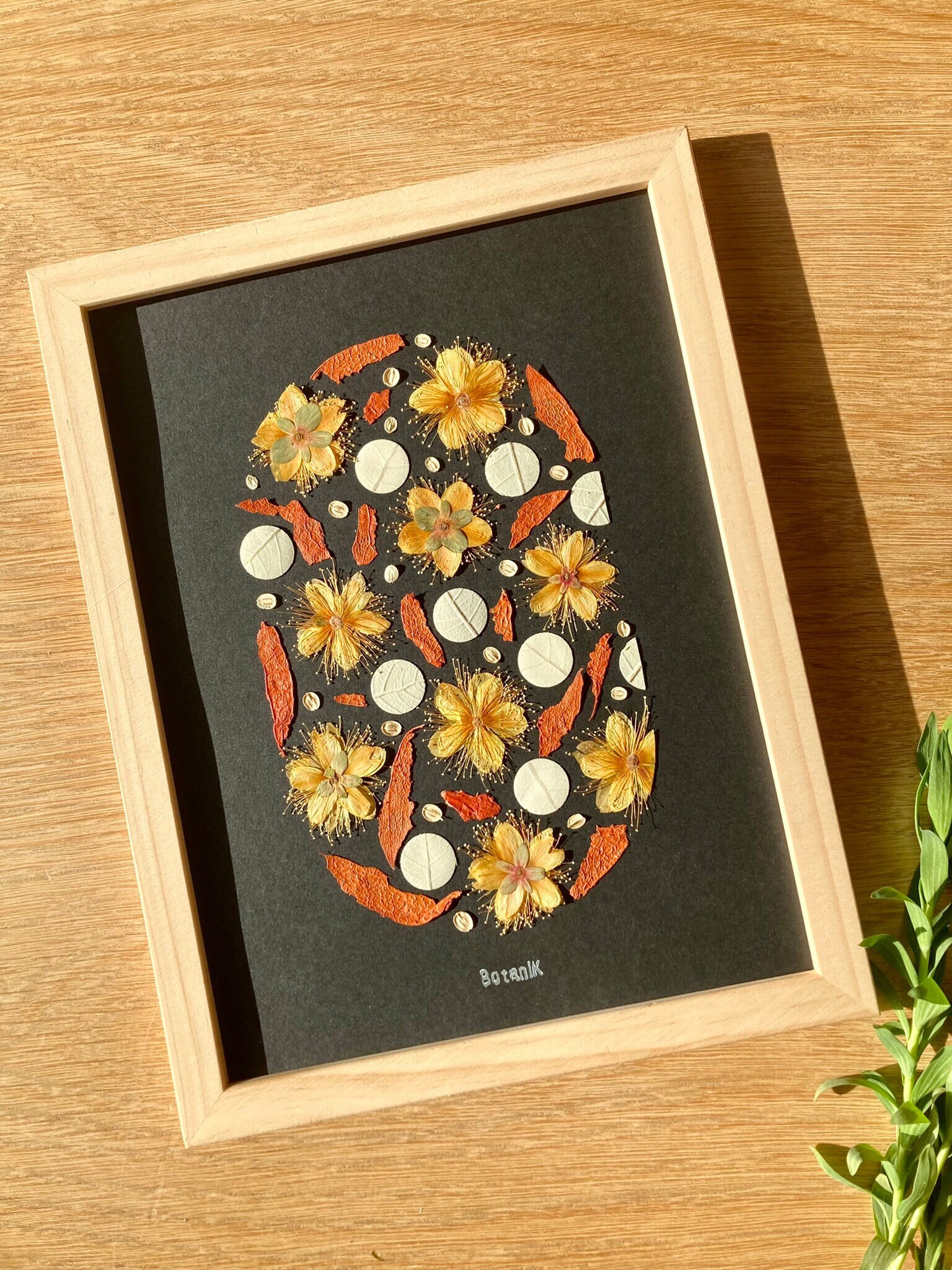 Herbier Nuit d'automne, Herbier Encadré de Fleurs et Feuilles Séchées Physalis, Hypericum, Créatrice