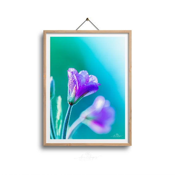 FLOWER PHOTOGRAPHY ART Flower Poster Purple Nature Etsy