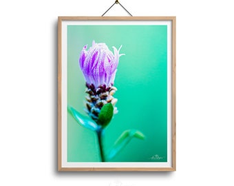 MINIMALIST POSTER NATURE, minimalist flower art print, green poster, green purple art poster, colorful print, colorful poster green lilac