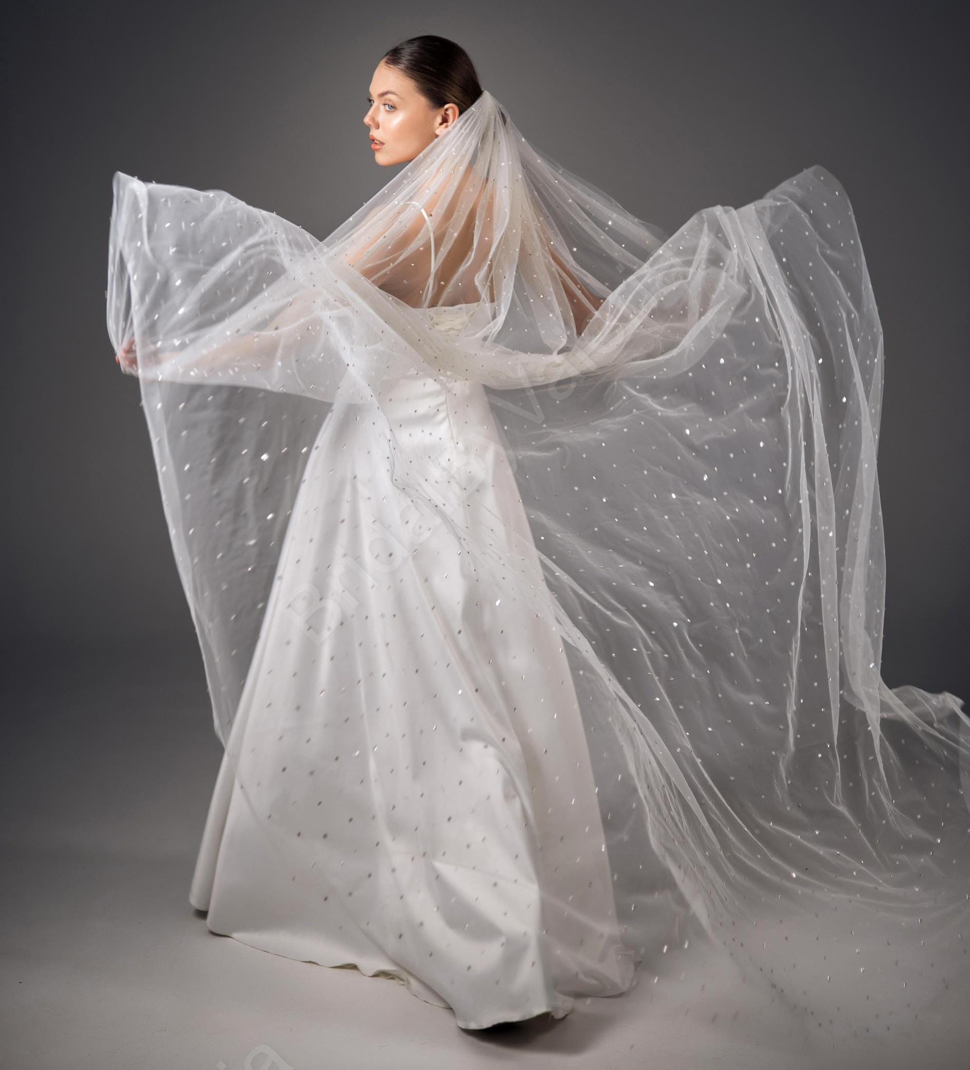 Rhinestone Cathedral Wedding Veil: Ivory Tulle Bridal Veil 