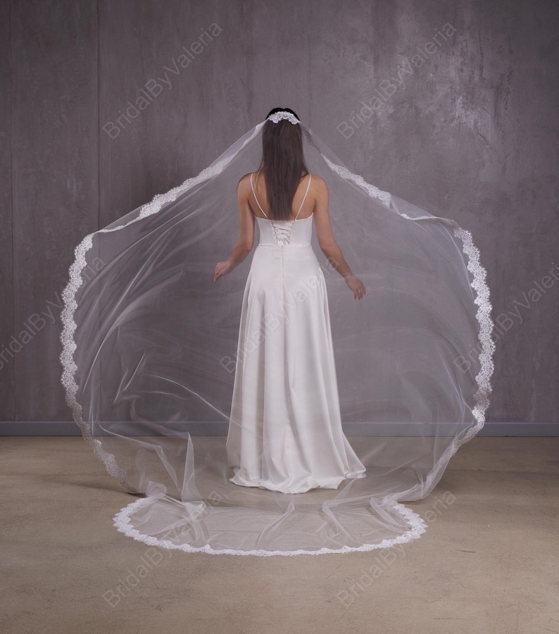 May include: A white bridal veil with a delicate lace trim. The veil is long and flowing, with a circular shape.