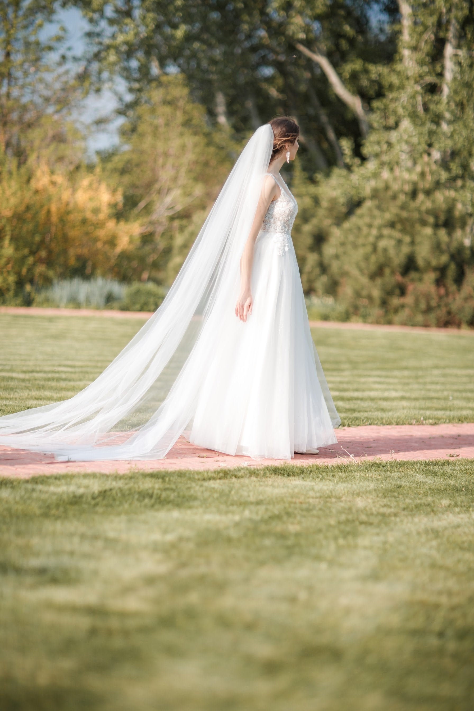 Cathedral Wedding Veil: 108 Inch Sheer Tulle, Minimalist Cut  display picture 2