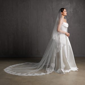 Puede incluir: Un vestido de novia blanco con una larga cola y un velo a juego. El vestido presenta un corpi&ntilde;o sin tirantes y una falda fluida. El velo est&aacute; adornado con encaje delicado. El estilo general es elegante y cl&aacute;sico.