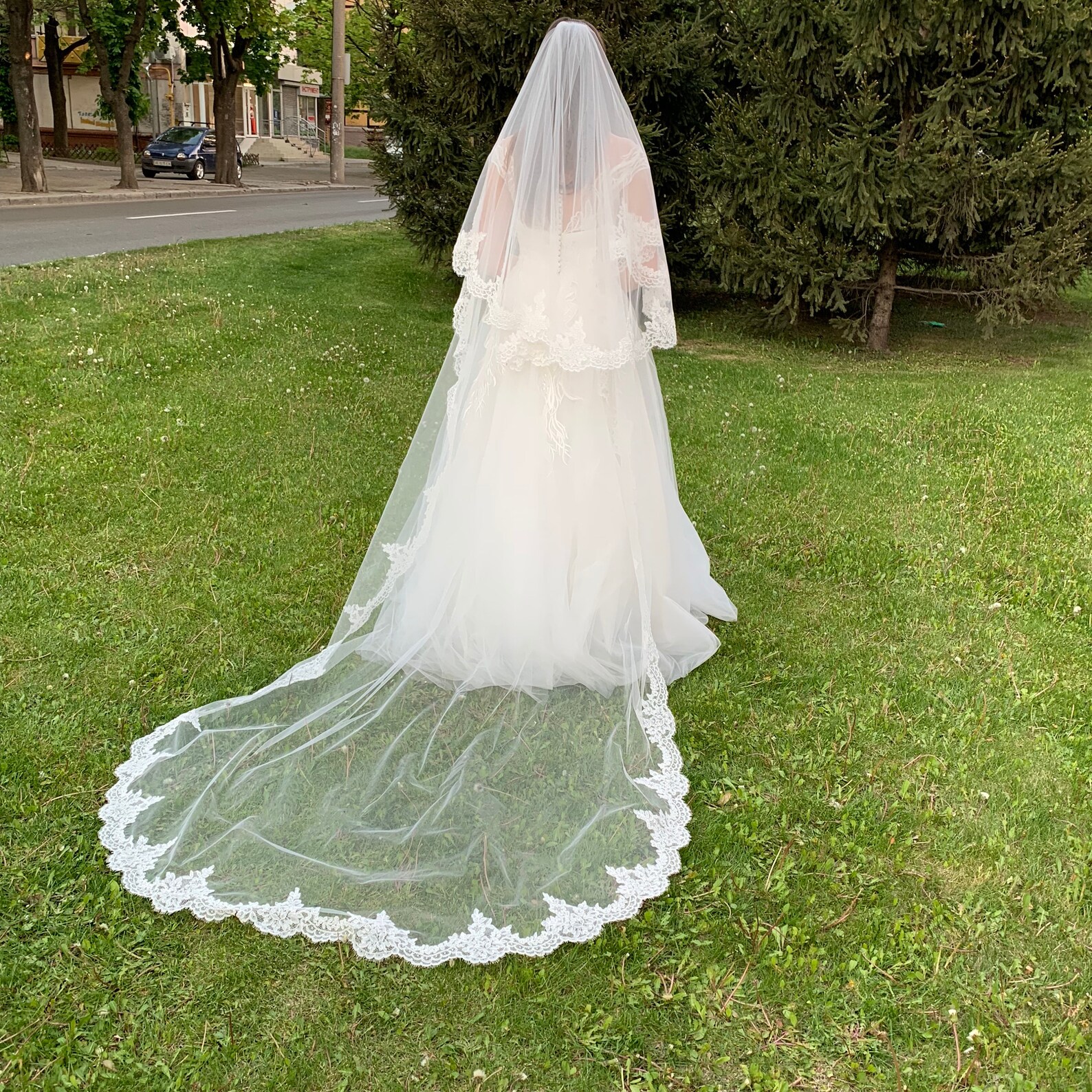 Super Long Cathedral Wedding Veil Lace Wedding Veil Lace Trim Etsy