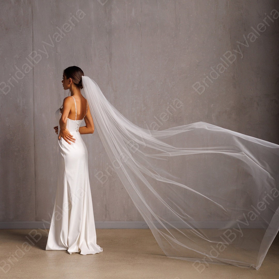 Simple Sheer Tulle Wedding Veil: Ivory Raw Edge, One Layer