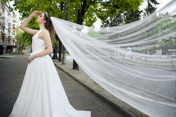 Sparkle Tulle Bridal Veil