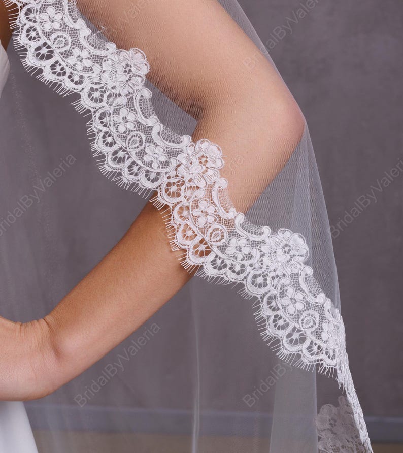 May include: A white bridal veil with a delicate lace trim. The lace trim features a scalloped edge and intricate floral designs.