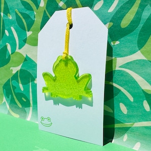 Etiquettes cadeaux en acrylique grenouille verte, Adorables notes manuscrites, étiquettes volantes pour sacs cadeaux d'anniversaire, Cadeaux sur le thème de la grenouille, Grenouille, Souhaits d'anniversaire