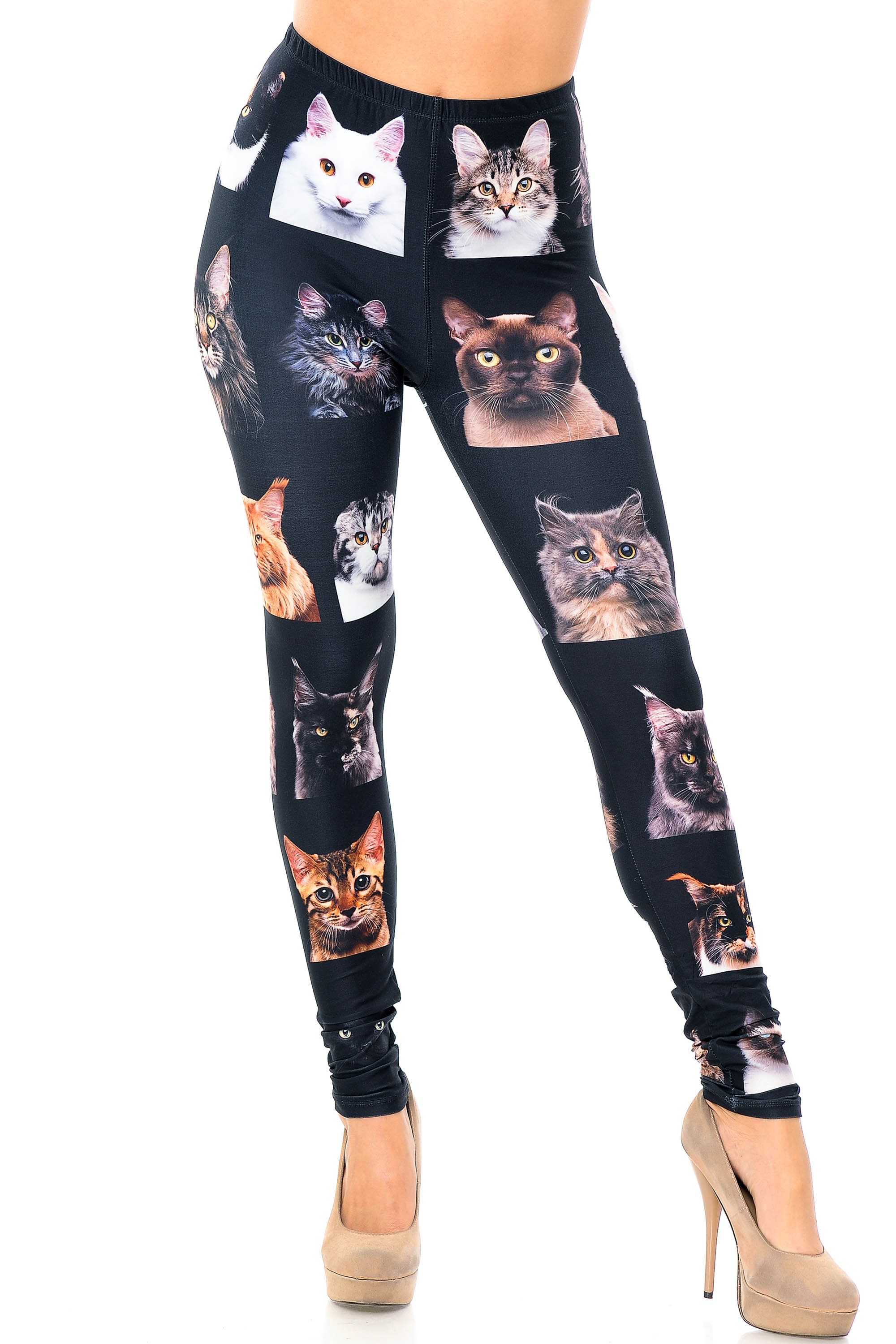Cats Leggings - Kitty Cat Leggings - What Devotion❓ - Coolest Online  Fashion Trends