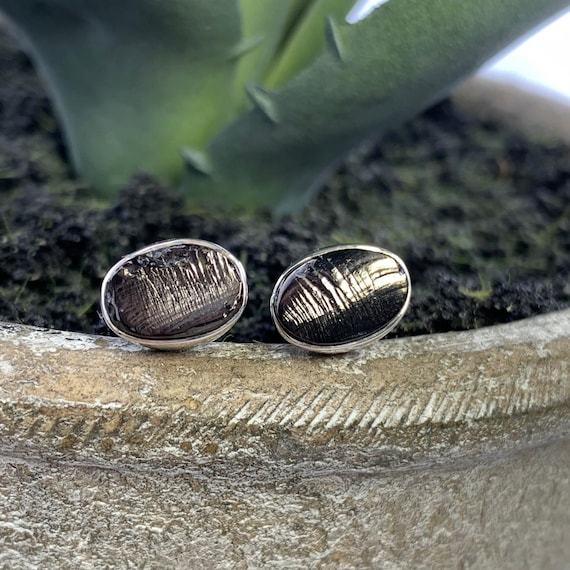 Shungite on sale earrings studs