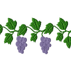 Pode incluir: Uma videira com folhas verdes e dois cachos de uvas roxas.