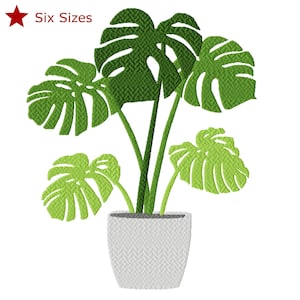 Diseño de bordado a máquina de planta Monstera de queso suizo, seis tamaños incluidos, descarga instantánea.