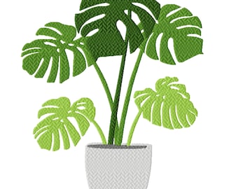 Swiss Cheese Monstera Plant Machine Embroidery Design, Six Sizes Included, Instant Download.