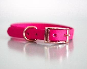 1/2" Biothane Standard Buckle Collar in Apple Blossom
