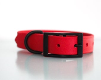 1" Biothane Standard Buckle Collar in Brickyard Park