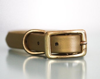 3/4" Biothane Standard Buckle Collar in Pyrite
