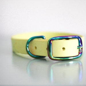1" Biothane Standard Buckle Collar in Lemonade Stand