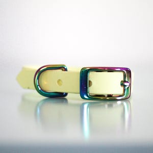 5/8&quot; Biothane Standard Buckle Collar in Lemonade Stand