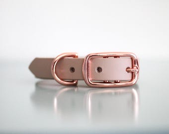 3/4" Biothane Standard Buckle Collar in Sand Dollar
