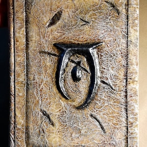 Mysterium Xarxes, Oblivion inspired book