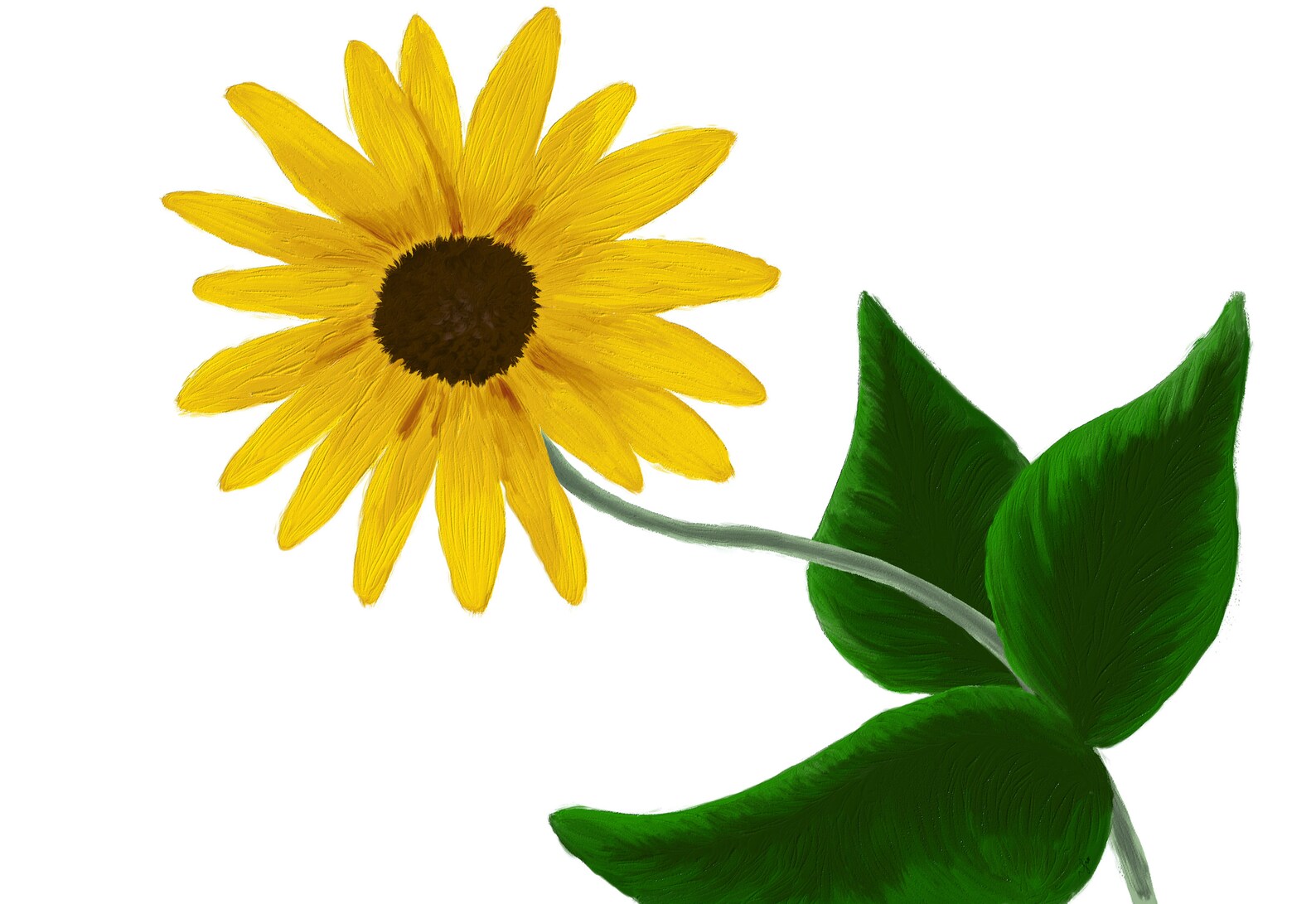 Sunflower Printable Digital Colour Artwork - Etsy