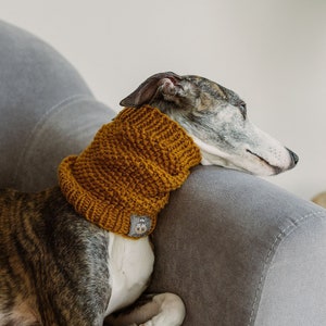 Knit dog snood Wool Whippet neck warmer Greyhound scarf Hand knit dog clothes
