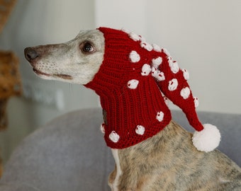 Red dog hat Whippet snood Wool Greyhound beanie Hand knit dog accessories Pom pom hat for big dog