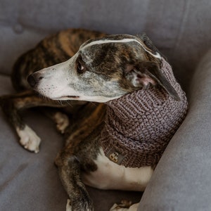 Brown snood for dog Hand knitted Whipped scarf Wool Greyhound neck warmer with leash hole