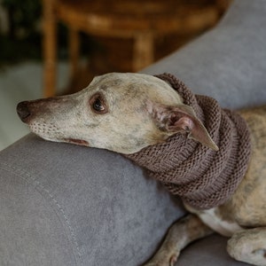 Hand knit snood for dog Whippet neck warmer Hand knit Greyhound scarf Windhund dog accessories
