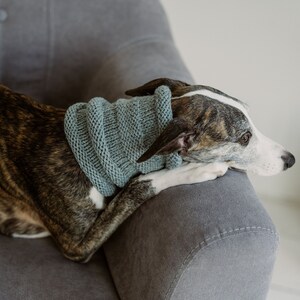 Knit dog snood Whippet neck warmer Greyhound wool scarf Hand knit dog accessories