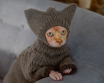 Sphynx Cat Hat Etsy France