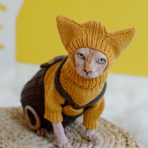 Cat Sweater and Hat Set Sphynx Cat Jumpsuit Hairless Cat Cat Sweater and Hat Set Sphynx Cat Jumpsuit Hairless Cat