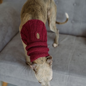 Red dog snood with leash hole Hand knit whippet scarf Wool Greyhound snood Head warmer