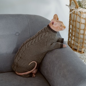 K&ouml;nnte beinhalten: Eine haarlose Katze tr&auml;gt einen braunen Strickpullover und sitzt auf einem grauen Sofa. Die Katze schaut nach rechts aus dem Bild.