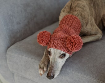 Dog hat Italian greyhound hat beanie Hand knit Wool pom pom hat for large dog ear warmer Snood