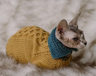 Cable knit sweater for cat Alpaca wool Devon rex clothes Sphynx cat pullover with collar Hand knit Hairless cat