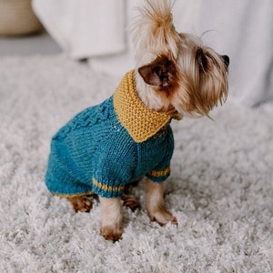 Ropa para perrita yorkshire top