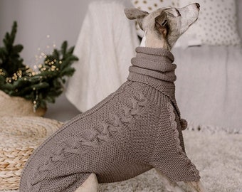 Italian greyhound sweater Hand knit Whippet clothes Wool Large dog clothing Sighthound jumper