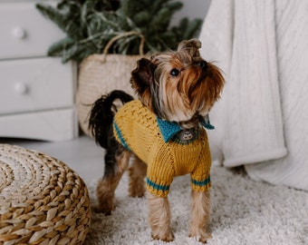 Small dog sweater Hand knit dog clothes Wool Hand knit puppy collar pullover Cable knit Yorkshire terrier sweaters